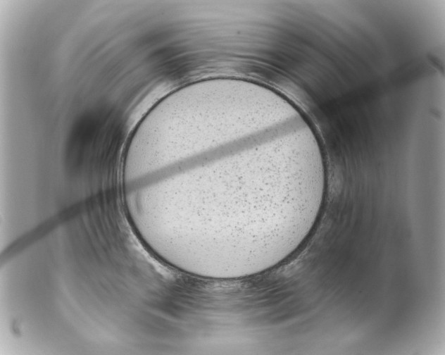 X0000099321290200805301207