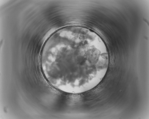 X0000099321291200805301207