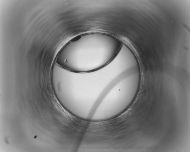 X0000099321292200805301207