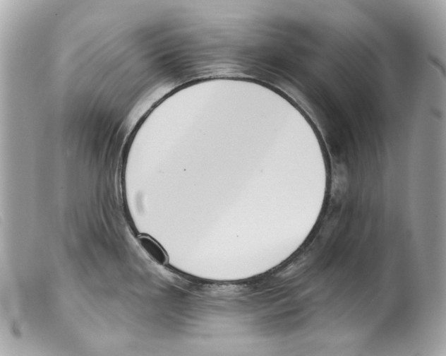 X0000099321293200805301207