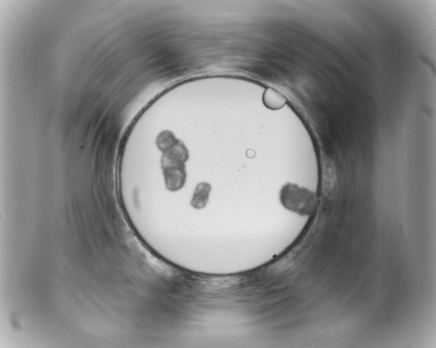 X0000099321294200805301207