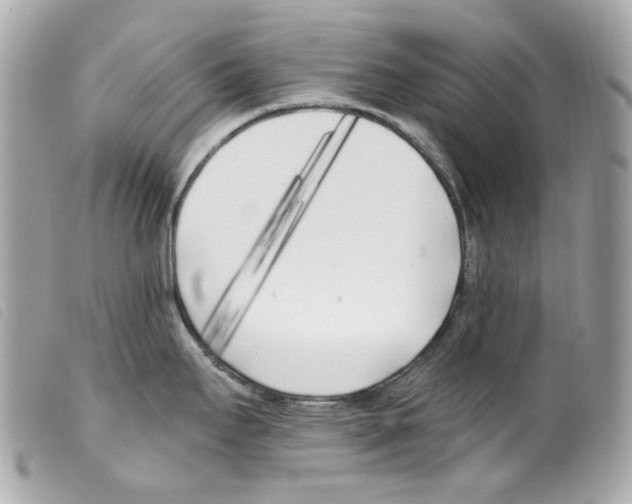 X0000099321295200805301207