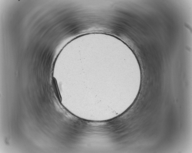 X0000099321296200805301207