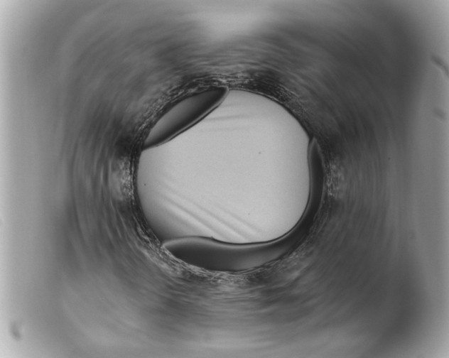 X0000099321298200805301207