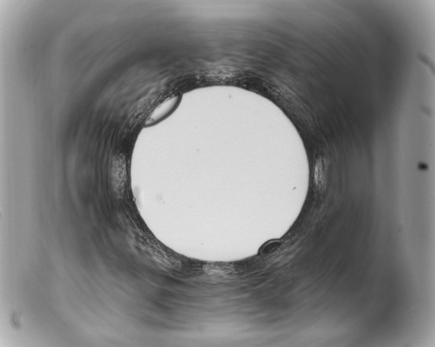 X0000099321299200805301207