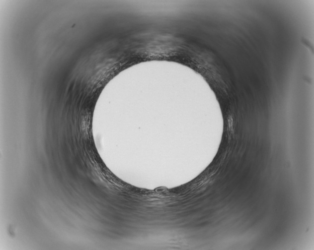 X0000099321300200805301207