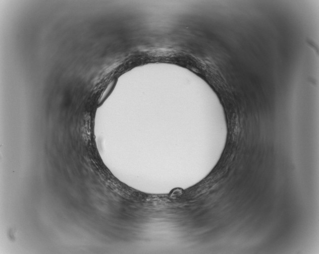 X0000099321301200805301207