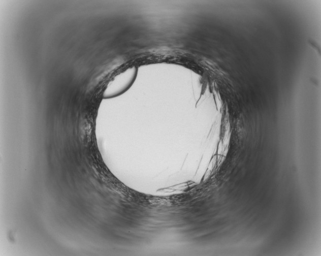 X0000099321302200805301207