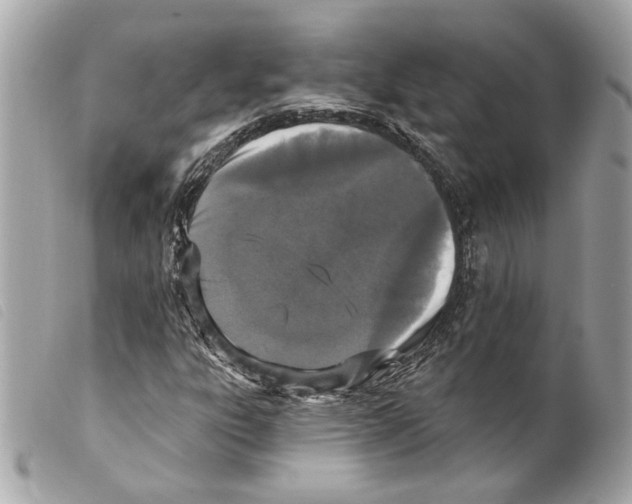 X0000099321303200805301207