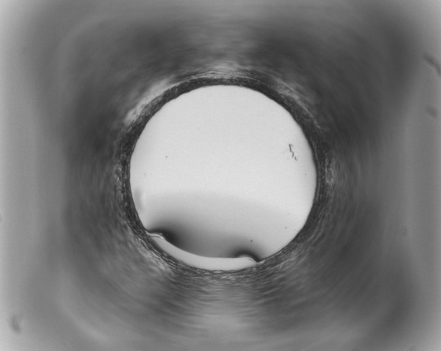 X0000099321304200805301207