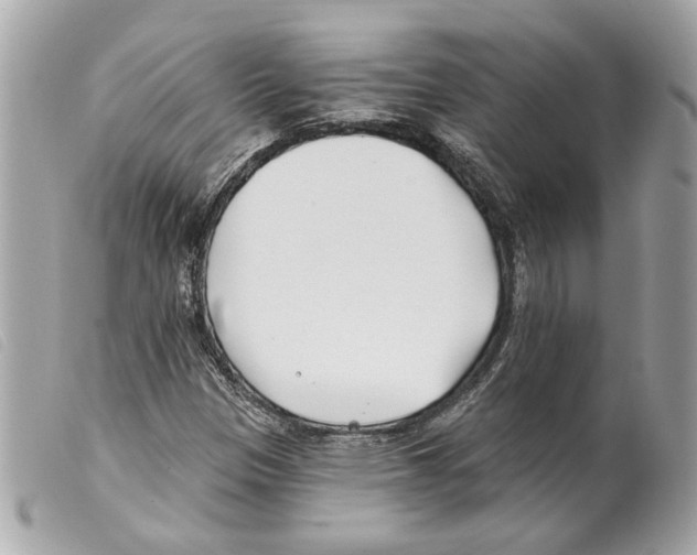 X0000099321305200805301207