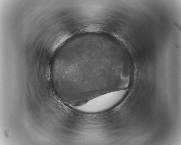 X0000099321306200805301207