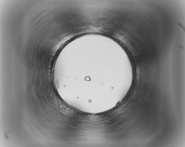 X0000099321308200805301207