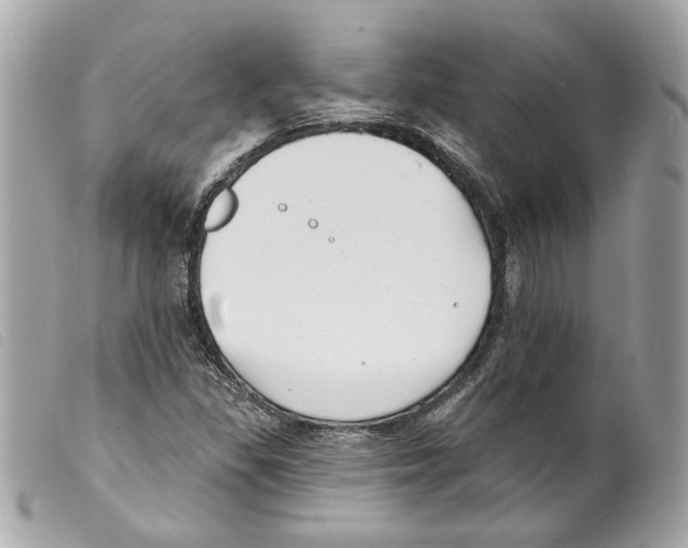 X0000099321309200805301207