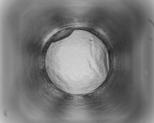 X0000099321310200805301207