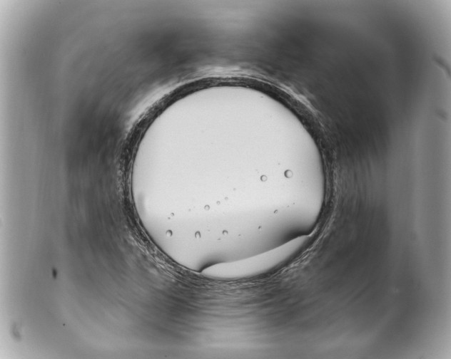 X0000099321311200805301207