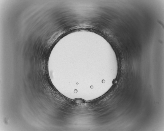 X0000099321313200805301207