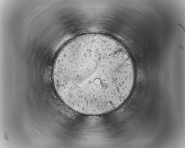 X0000099321314200805301207