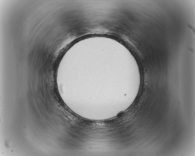 X0000099321315200805301207