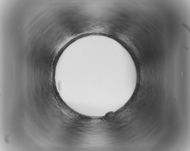 X0000099321316200805301207