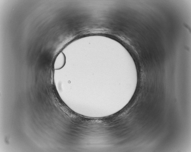 X0000099321317200805301207