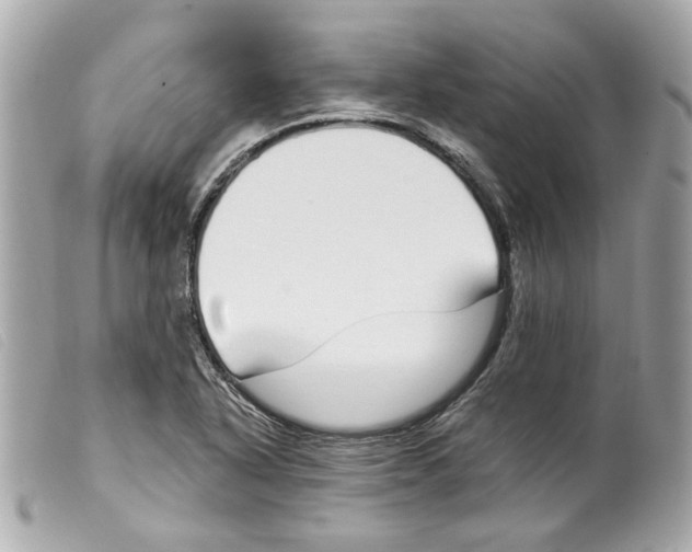 X0000099321318200805301207