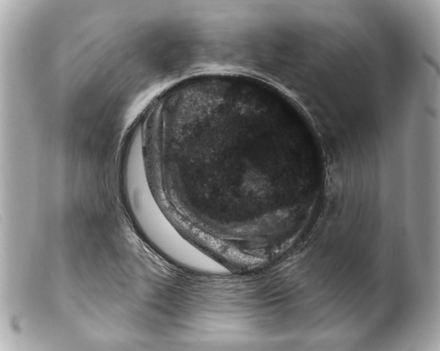 X0000099321319200805301207