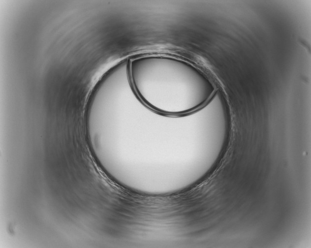 X0000099321320200805301207