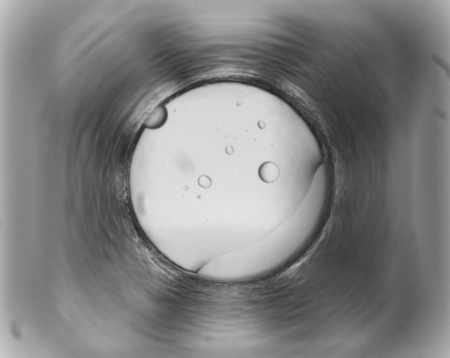 X0000099321321200805301207