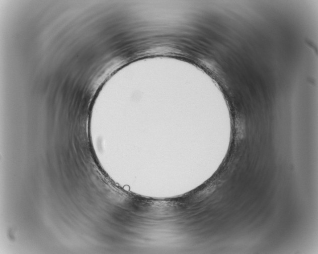 X0000099321322200805301207