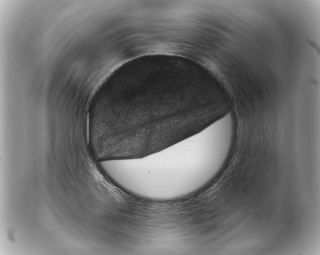 X0000099321323200805301207