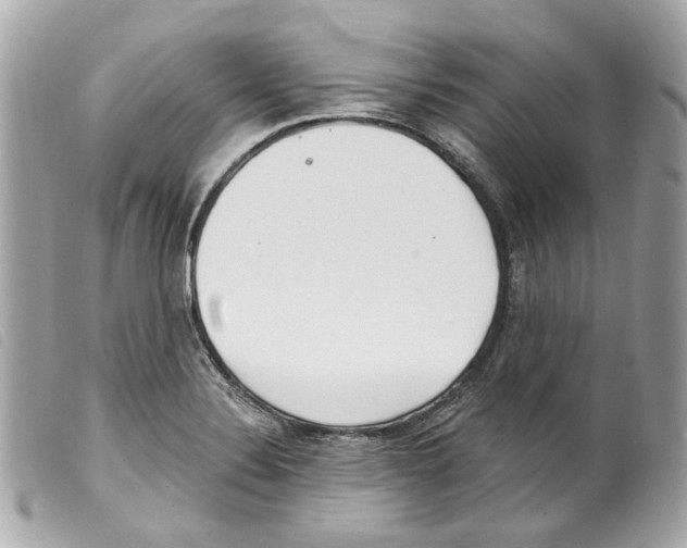 X0000099321324200805301207