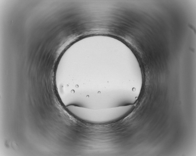 X0000099321325200805301207