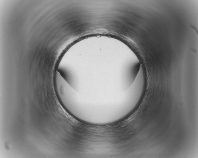 X0000099321326200805301207