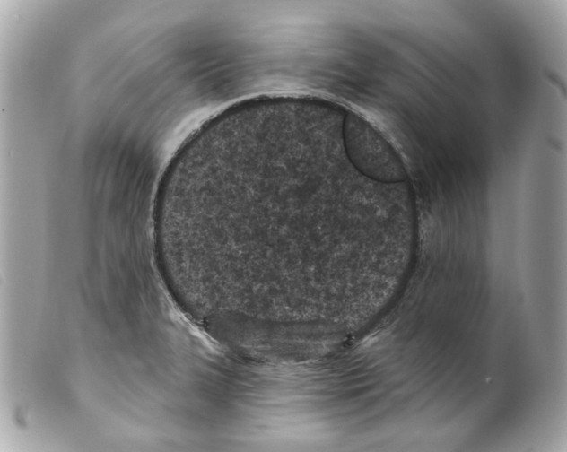 X0000099321327200805301207