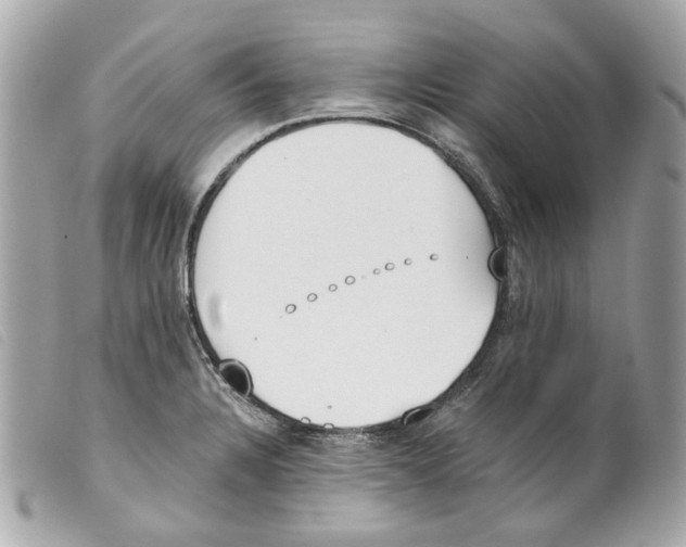 X0000099321328200805301207