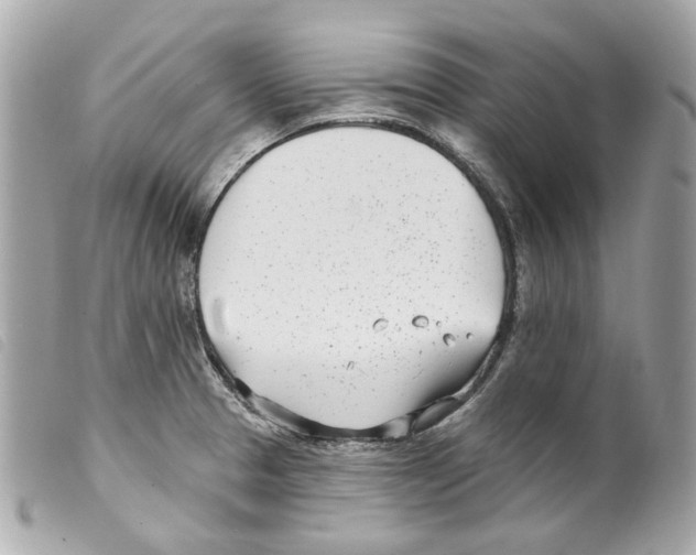 X0000099321329200805301207