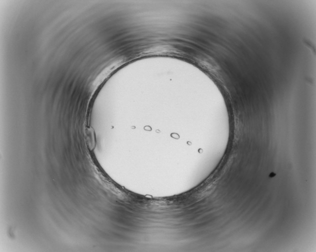 X0000099321330200805301207