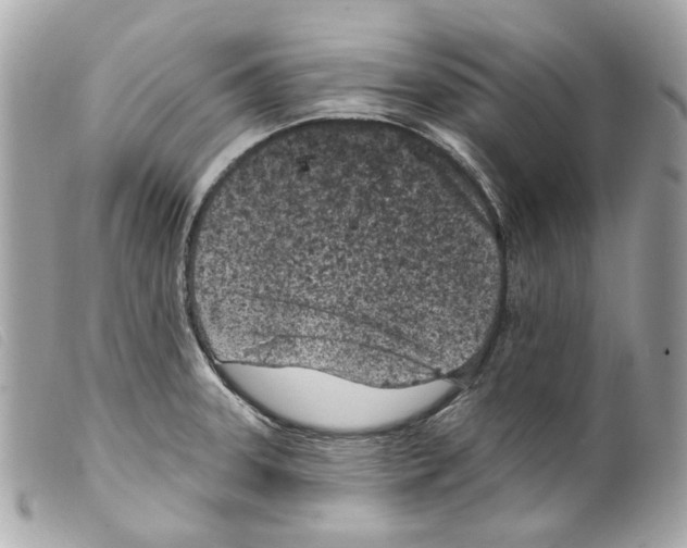 X0000099321331200805301207