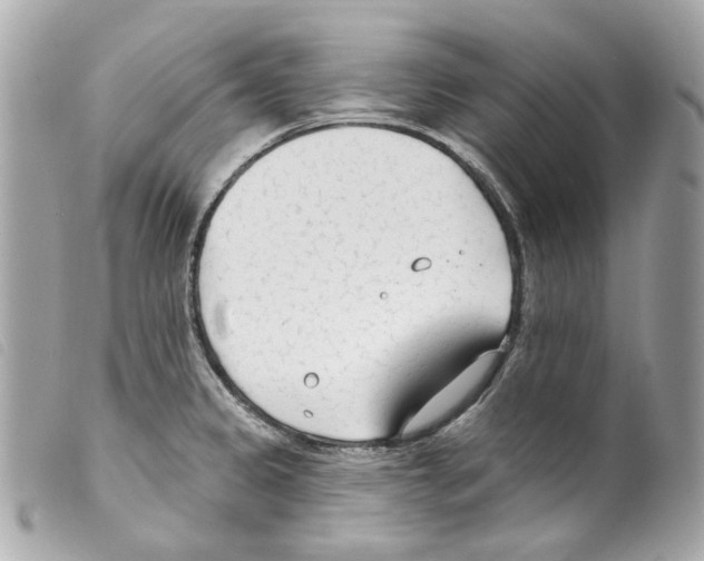 X0000099321333200805301207