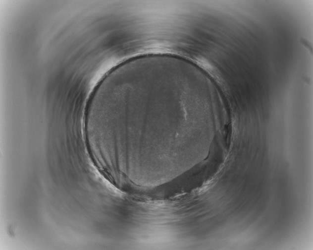 X0000099321334200805301207