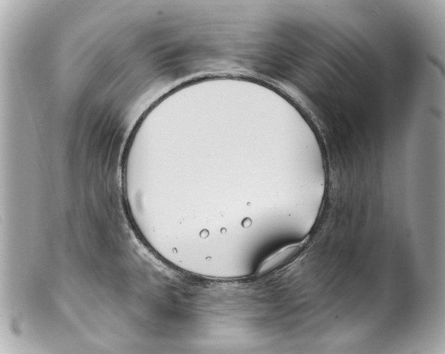 X0000099321335200805301207