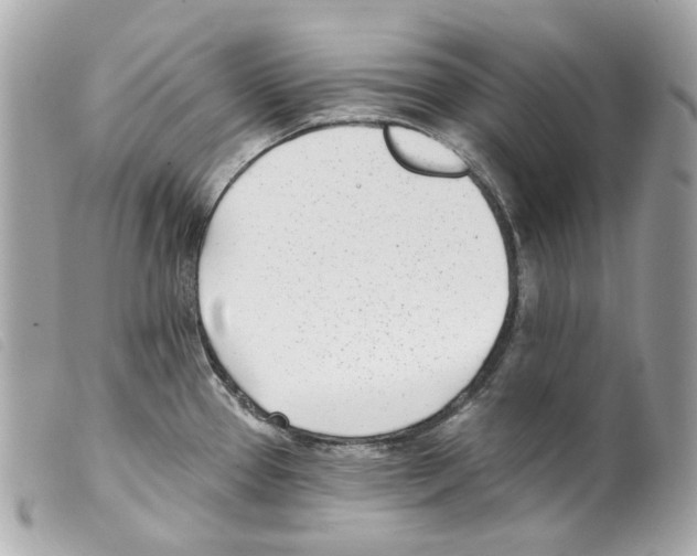 X0000099321337200805301207