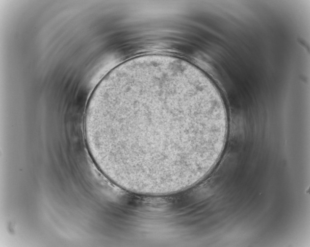 X0000099321338200805301207