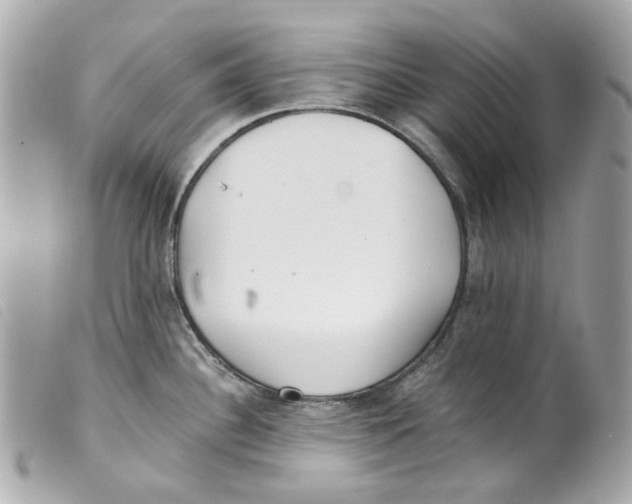 X0000099321340200805301207