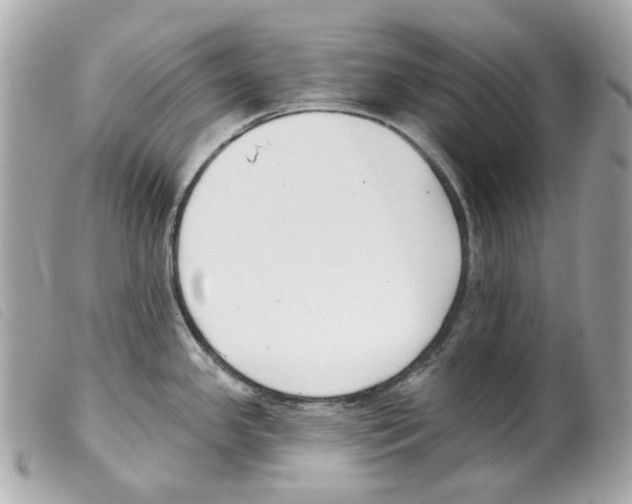 X0000099321341200805301207