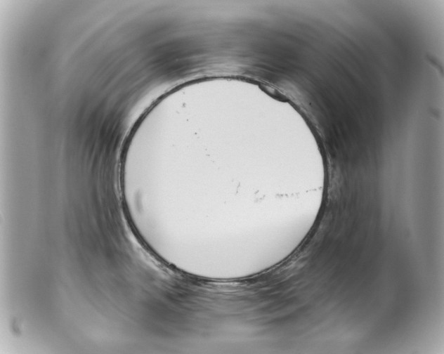 X0000099321342200805301207