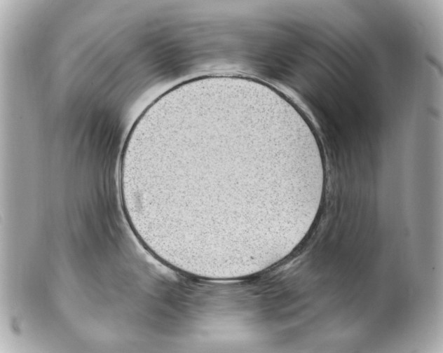 X0000099321343200805301207