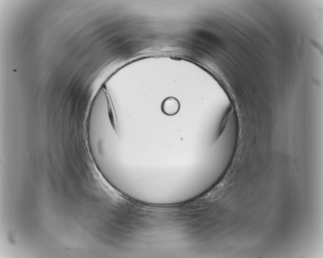 X0000099321344200805301207