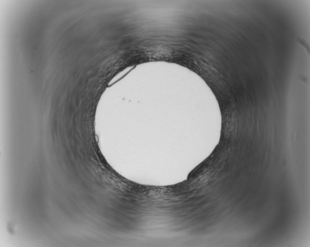 X0000099321345200805301207